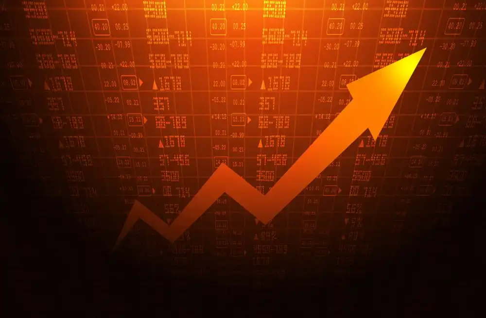 Platinum Asset Management Limited, creating market leading platform