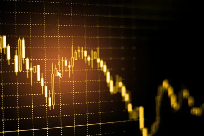 RareX Limited meaningful catalysts emerging across portfolio