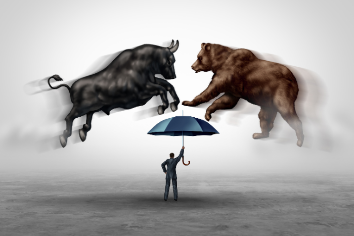 Capral Limited resilient earnings