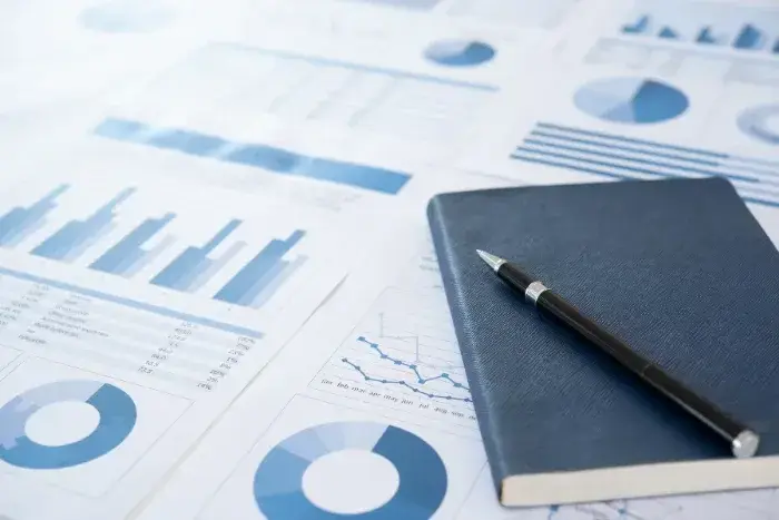 Elsight limited sustained profitability