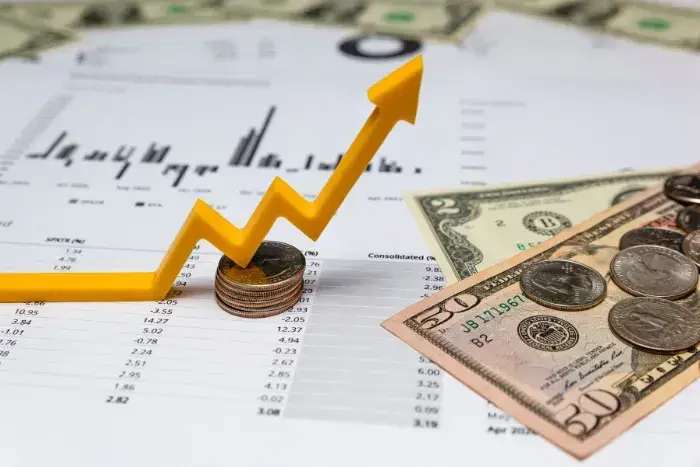 Temple & Webster Group Limited margin optimisation
