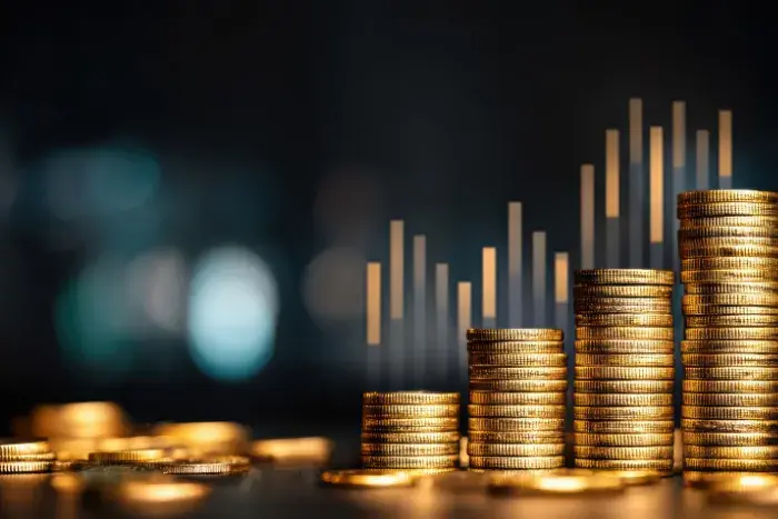 Collins Foods Limited consistent debt reduction