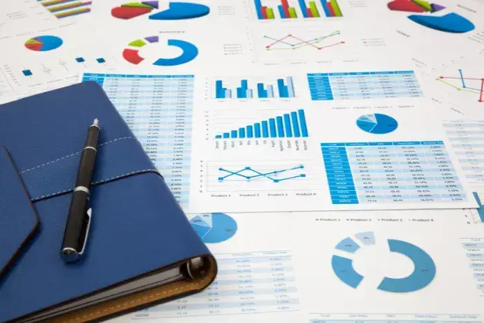Sigma Healthcare Limited translating scale into earnings growth