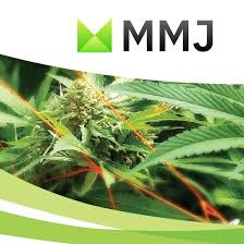 MMJ Group Holdings Limited