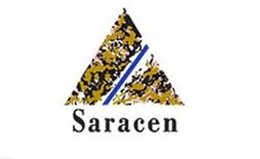 Saracen Mineral Holdings Limited(SAR)