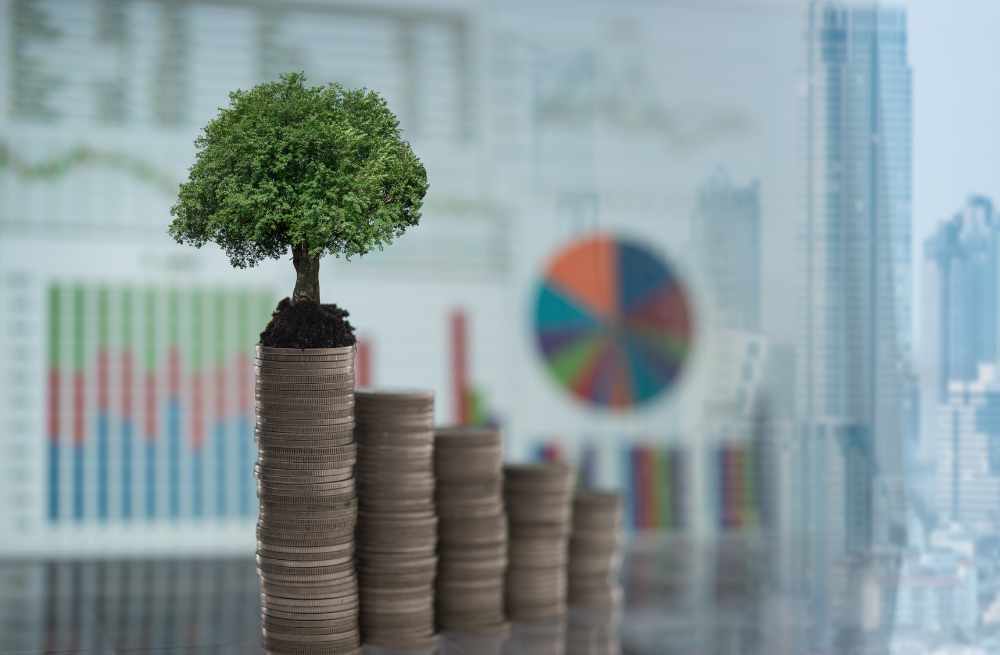 PBF ENERGY INC